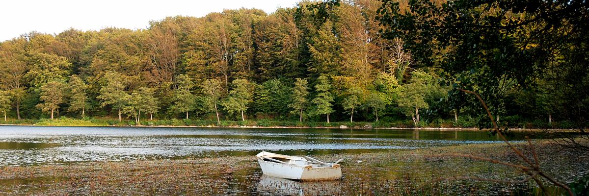 På billedet ses en båd, der ligger stille i en sø. Søen er omringet af træder og buske