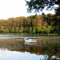 På billedet ses en båd, der ligger stille i en sø. Søen er omringet af træder og buske
