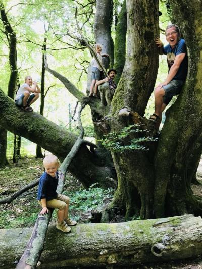 Børn klatrer i træer