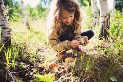 Pige finder rørhat i birkeskov