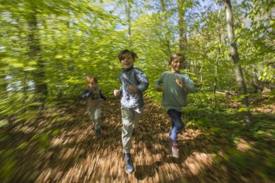 Børn løber i skoven