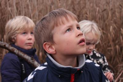 Efterår børn i naturen Boserup skov Roskilde