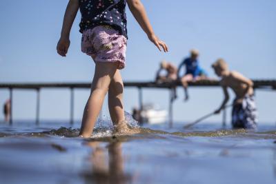 Børn i vand i Naturpark Lillebælt
