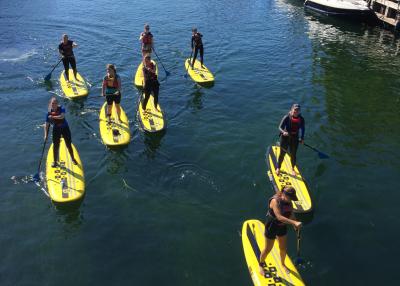 Stand up paddle'ere i Københavns Havn