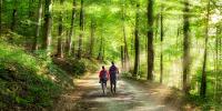 Par går tur i skoven