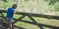 dreng kigger ud i natur ved låge og hegn