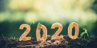 2020 i tal der vokser op af jorden