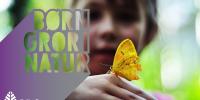 pige i baggrunden og hendes hånd med en gul sommerfugl og børn gror i natur skilt