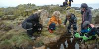 Børnehave på klipper naturdannelse