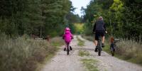 Voksen og barn der cykler på skovvej. 