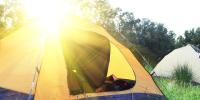 På billedet ses et telt i skoven. Teltet lyses op af solen.