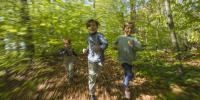 Tre børn løber med fart på gennem skoven. De løber mod kameraet