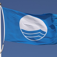 Det Blå Flag i toppen af en flagstand med blå himmel bag