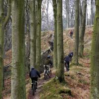 cyklister på vej op ad bakke i skov