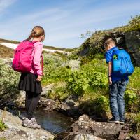 På billedet ses to børn, der går en tur i naturen. De bærer rygsæk og er iklædt sommertøj. De har ryggen til kameraet