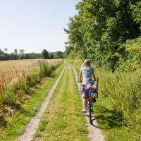 Pige cykler på markvej om sommeren