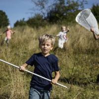 Børn løber i højt græs med net