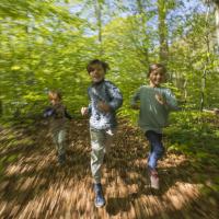 Børn løber i skoven