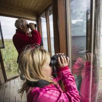 Pige og ældre mand kigger på fugle i Naturpark Åmosen