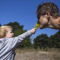 Far og barn dufter til blomster i Naturpark Mølleåen