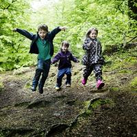 tre børn hopper i skoven