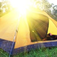 På billedet ses et telt i skoven. Teltet lyses op af solen.