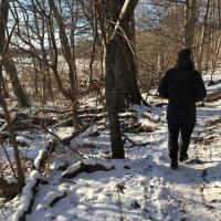 mand vandrer i skov om vinteren