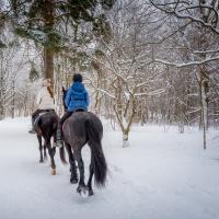 På billedet er der to ryttere, der ridder gennem en skov på hesteryg. Der er sne overalt
