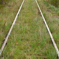 På billedet ses resterne fra et jernbanespor. Jernbanen er dækket til med græs